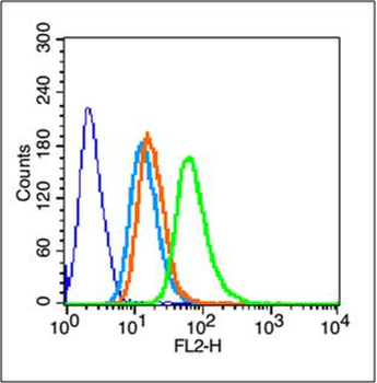 Integrin beta 1 antibody