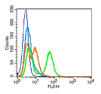 Integrin beta 1 antibody