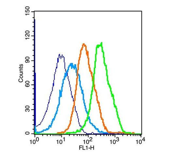 Jnk1/3 antibody