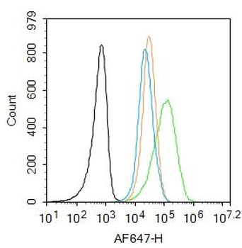 JNK1/2/3 (phospho-Thr183/185) antibody