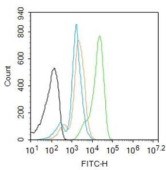 JNK1/2/3 (phospho-Thr183/185) antibody