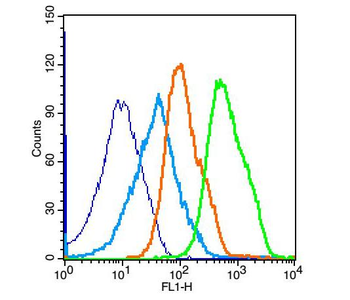 JNK1/2/3 (phospho-Thr183/185) antibody