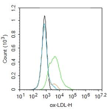 OxLDL antibody