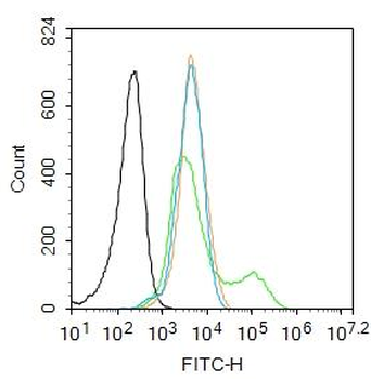 MAPK14 antibody