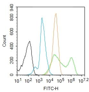 MAPK14 antibody