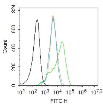 MAPK14 (phospho-Thr180/Tyr182) antibody