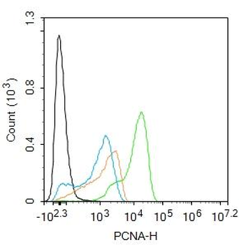 PCNA antibody