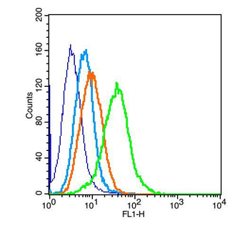 PIK3R1 antibody