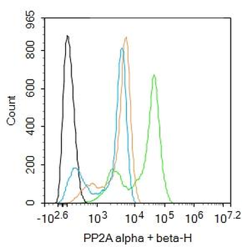 PP2A alpha antibody