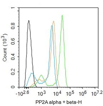 PP2A alpha antibody