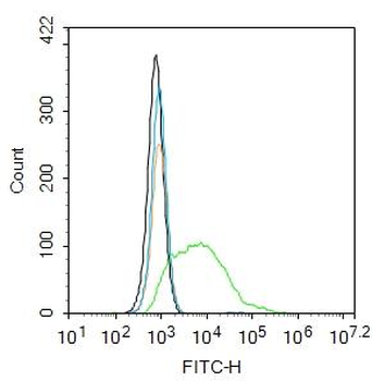 AKT (phospho-Ser473) antibody