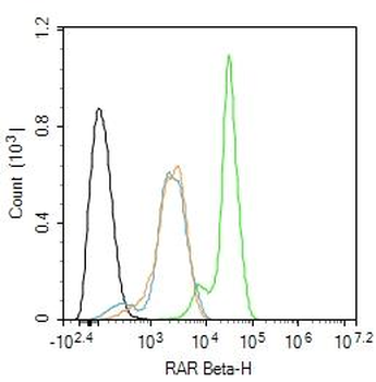 RARB Rabbit Polyclonal Antibody