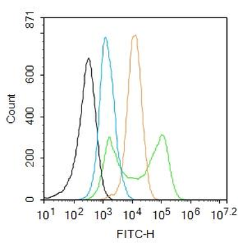 TLR4 antibody