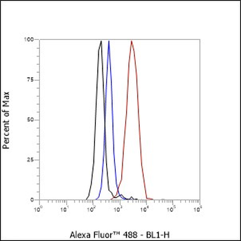 CD13 antibody