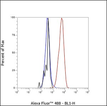 CD59 antibody