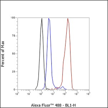 CD19 antibody