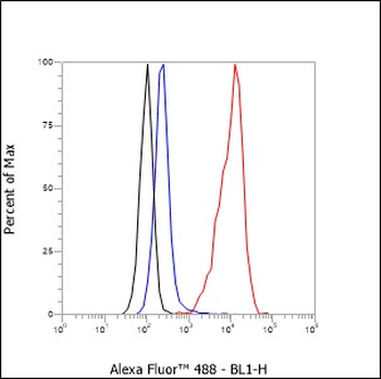 CD19 antibody