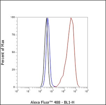 MUC2 antibody