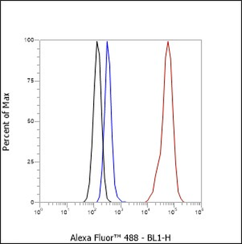 MUC2 antibody