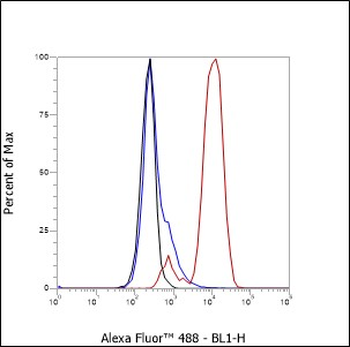 CD74 antibody