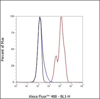 CD11a antibody