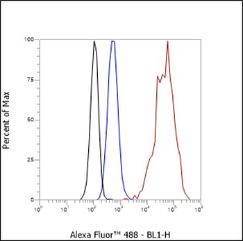 Keratin 15 antibody