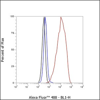 Luteinizing Hormone antibody