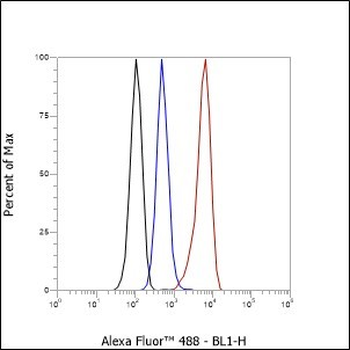 Keratin 14 antibody