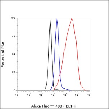 Histone H3 (NT) antibody