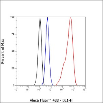 pan (alpha) actin antibody