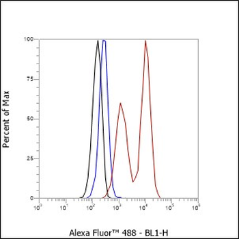 ST13 antibody