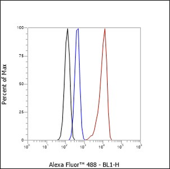 myosin light chain 3 antibody