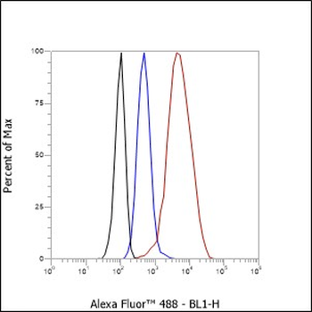 Cofilin 1 antibody