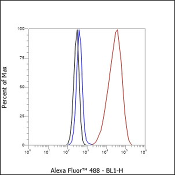 Mono/Di-Methyl-Histone H3 (Lys79) antibody