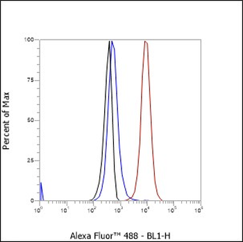 CD1d antibody