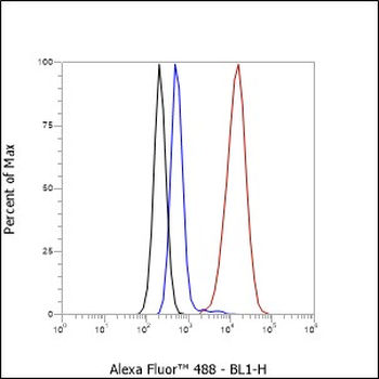 QSOX1 antibody