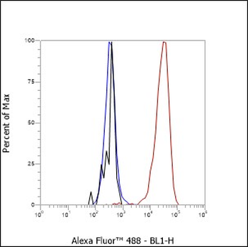 CD62L antibody