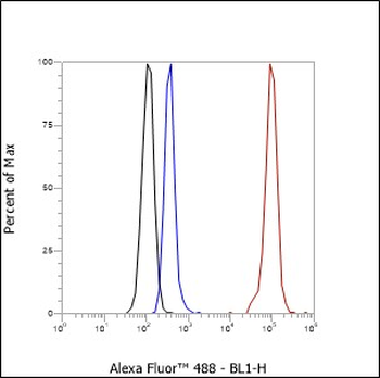 KDM4B antibody