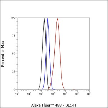 TROP2 antibody