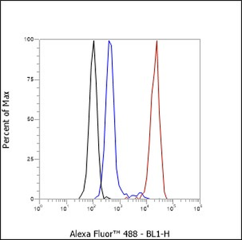 LY75/DEC-205 antibody