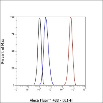 SATB1 antibody