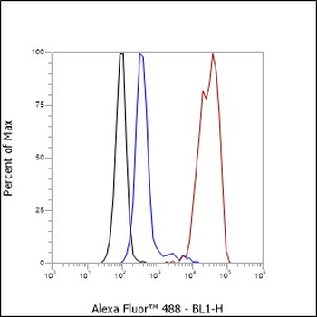 TFEB antibody