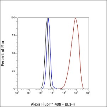 Paxillin antibody