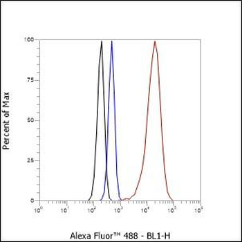 Alpha Synuclein antibody