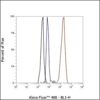 Alpha Synuclein antibody