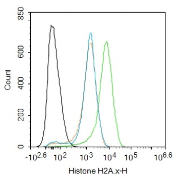 Histone 2AX antibody