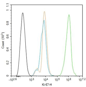 Ki67 antibody