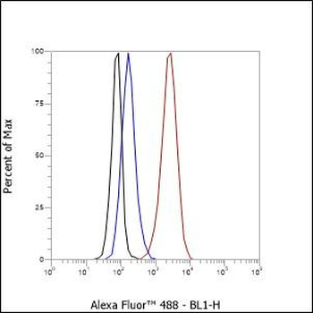 BMAL1 antibody