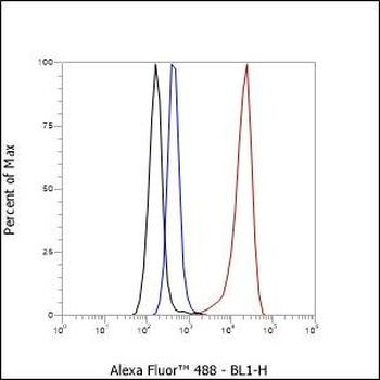 ERG antibody