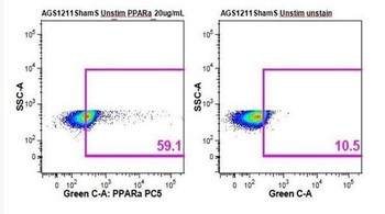 PPAR alpha antibody